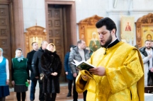 IMG_1406.jpg