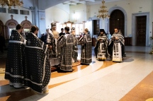 IMG_1785.jpg