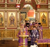 IMG_2569.jpg