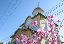 IMG_9661.jpg