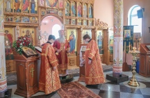 IMG_9731.jpg