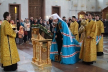 IMG_8897.JPG