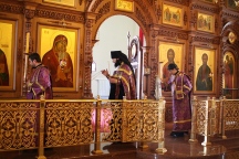 IMG_9035.JPG