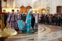 IMG_1782.JPG